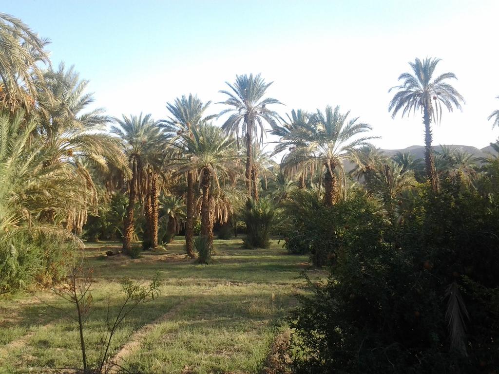 Kasbah Itrane Bed & Breakfast Tamnougalt Екстериор снимка