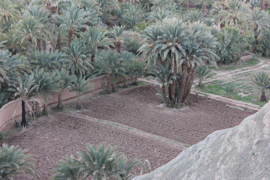 Kasbah Itrane Bed & Breakfast Tamnougalt Екстериор снимка
