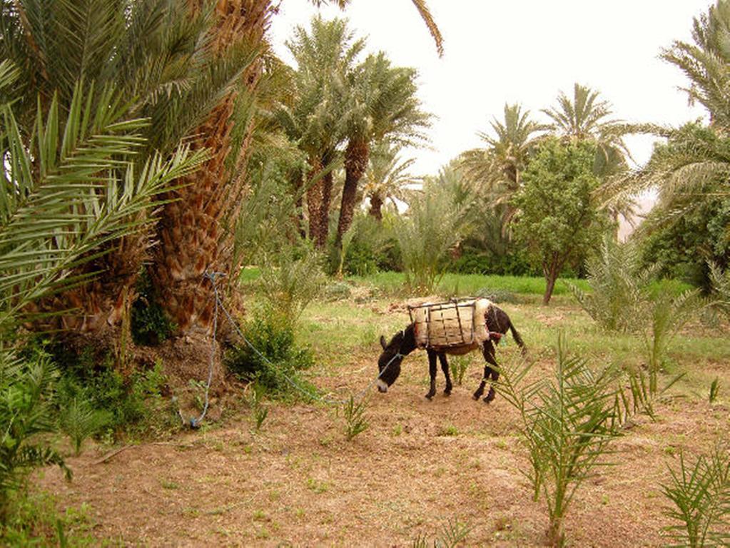 Kasbah Itrane Bed & Breakfast Tamnougalt Екстериор снимка